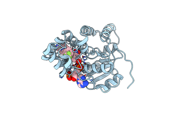 8E5R image