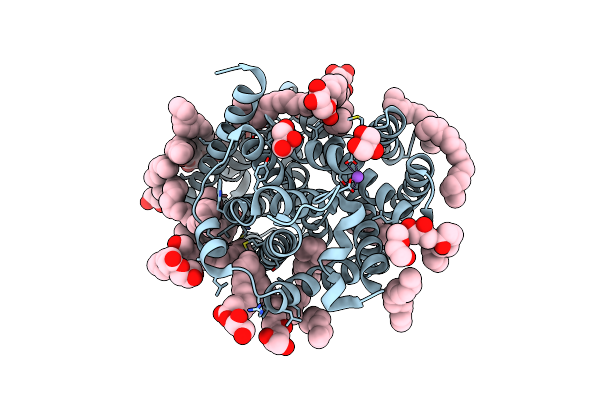 8E5S image