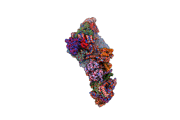 8E5T image