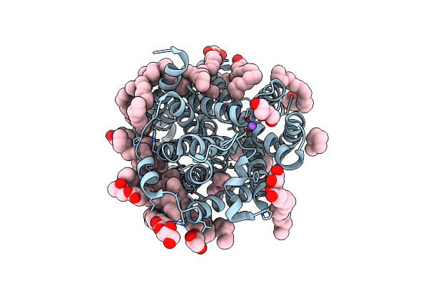 8E5V image