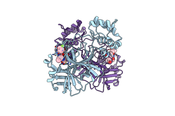 8E69 image