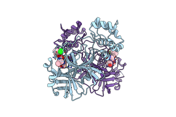 8E6A image