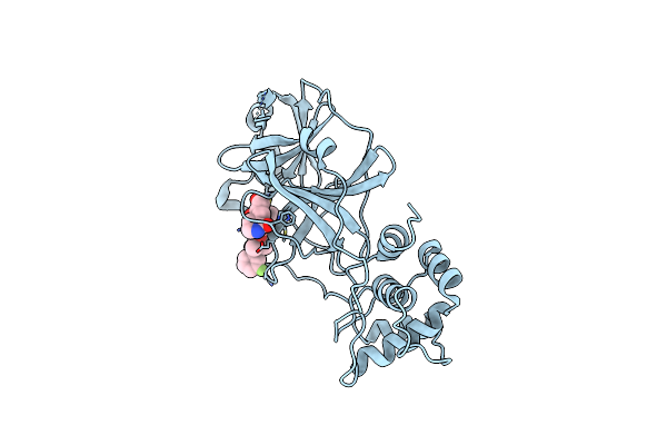 8E6C image