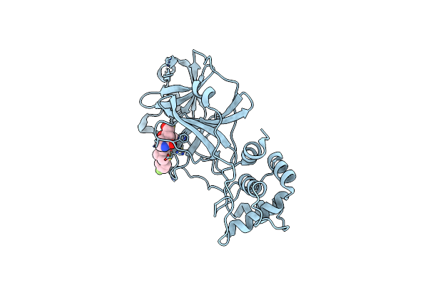 8E6D image
