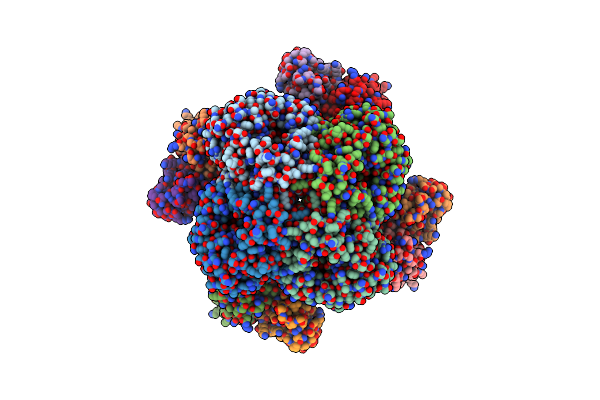 8E6J image