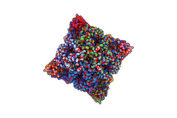 8E6K image