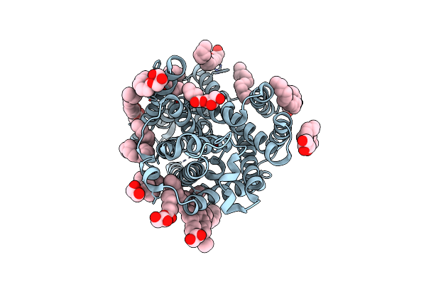 8E6L image
