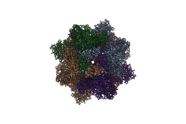 8E6R image