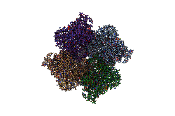 8E6S image