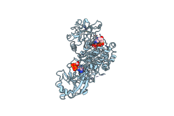 8E6V image