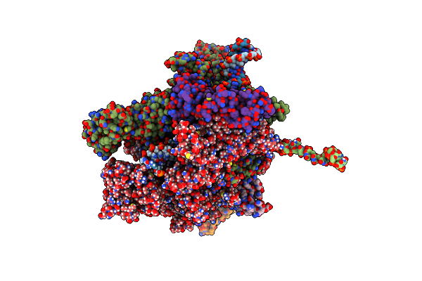 8E6X image
