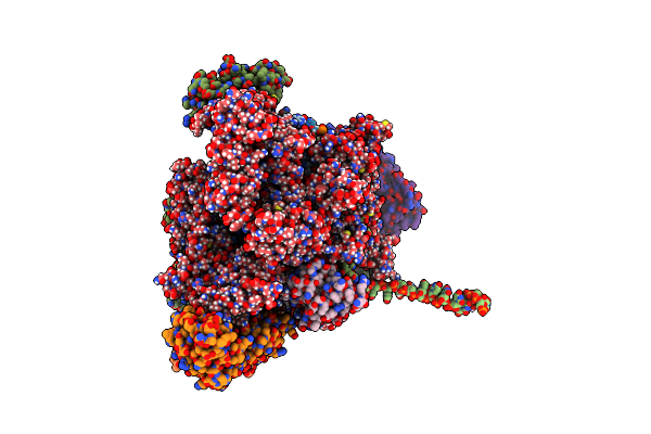 8E6Z image