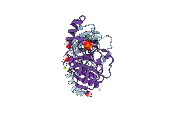 8E7R image