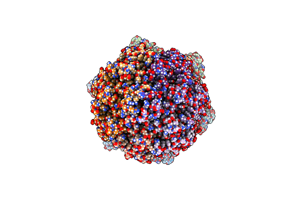 8E7V image