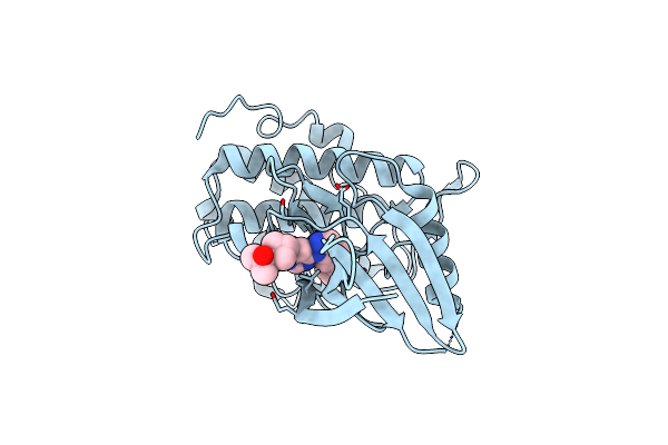 8E80 image