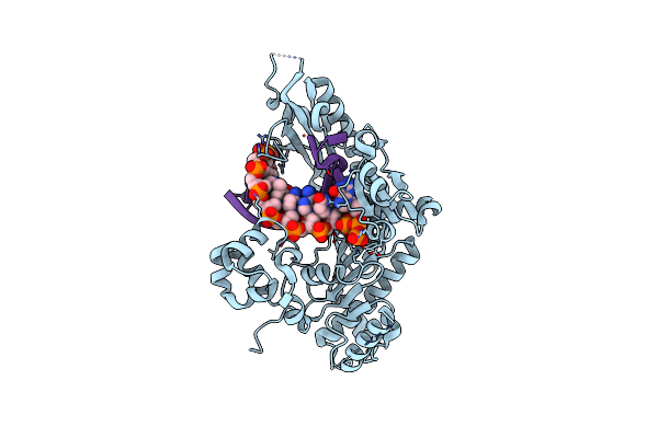 8E8C image
