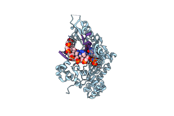 8E8K image