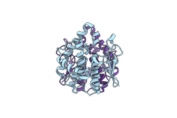 8E8P image