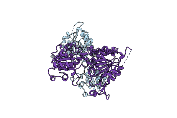 8E8T image