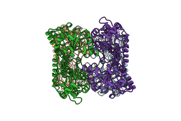 8E8U image