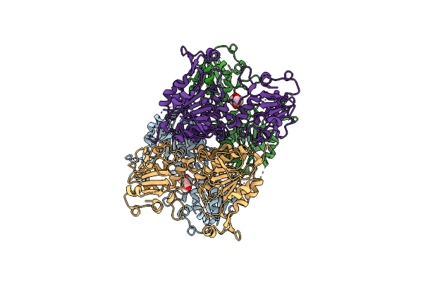 8E8V image