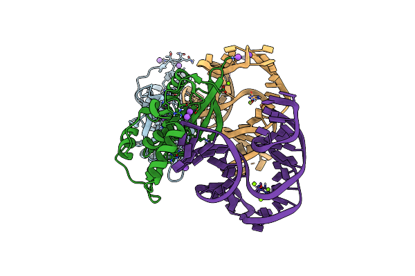 8E9A image
