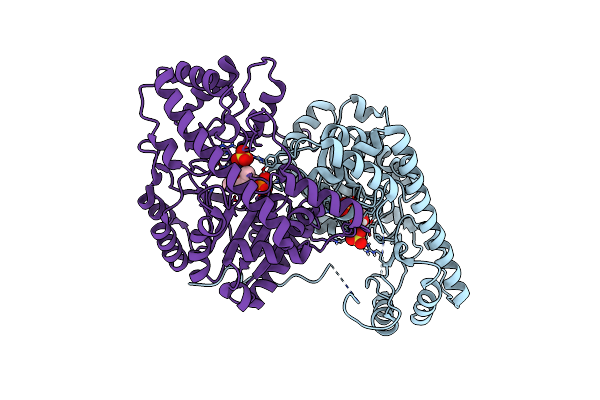 8E9C image