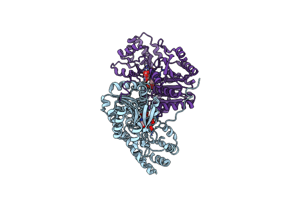 8E9D image