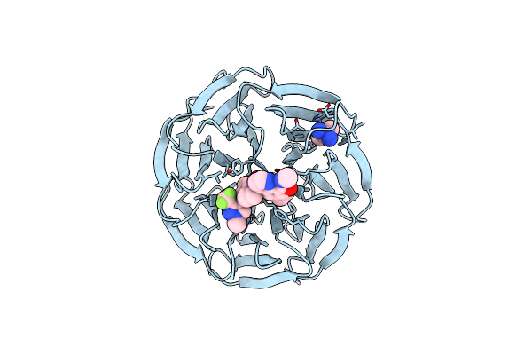8E9F image