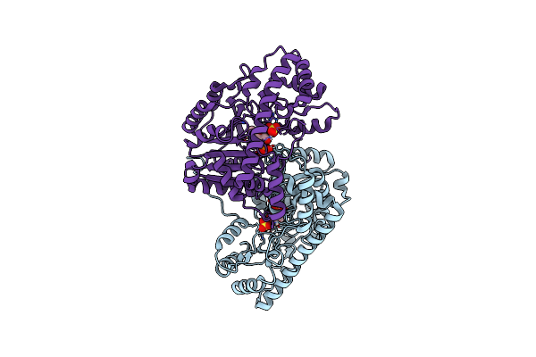 8E9V image