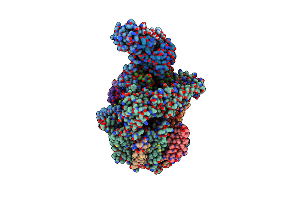 8EAS image
