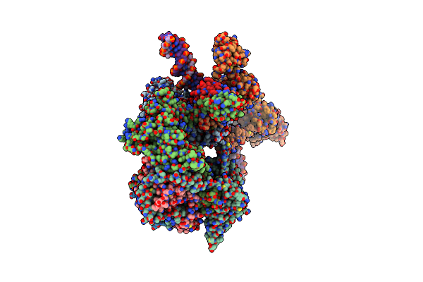 8EBV image