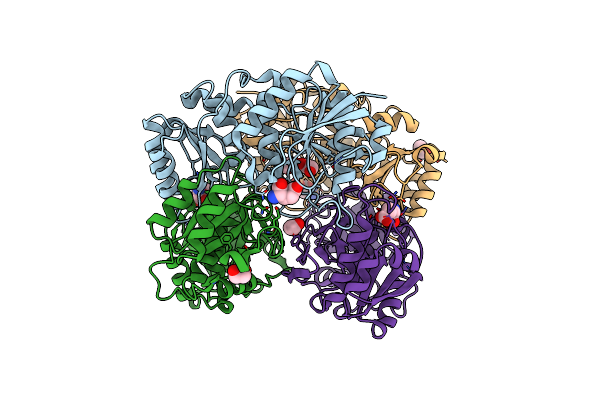 8ECE image