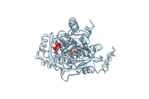8ECG image