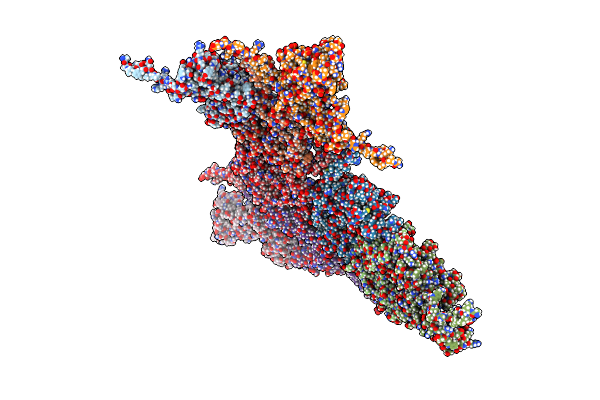 8ECN image