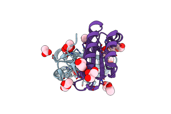 8ECP image