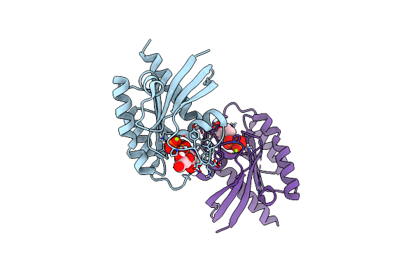 8ECR image
