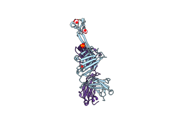 8ED1 image