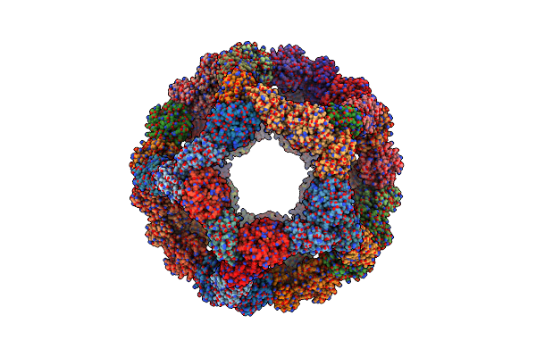 8ED3 image