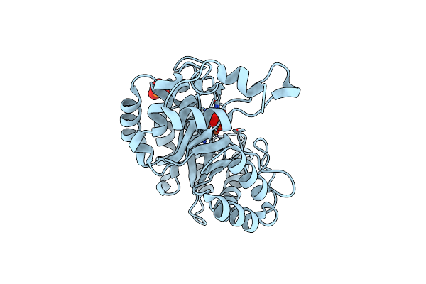 8EDD image