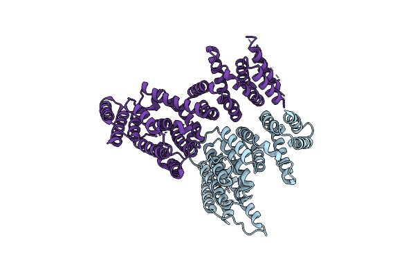 8EDO image