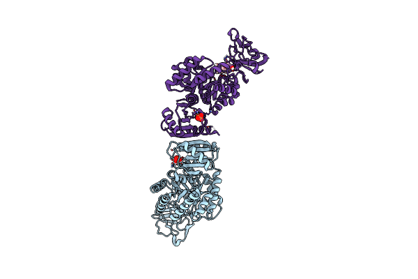 8EDQ image