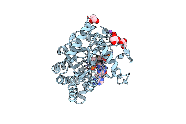 8EFG image