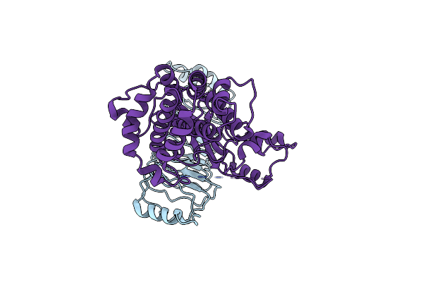 8EFP image