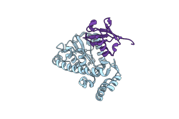 8EFX image