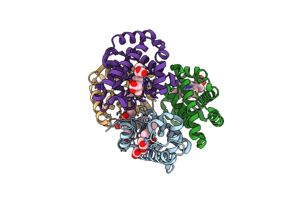 8EGI image