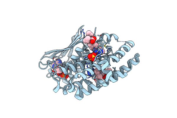 8EGU image