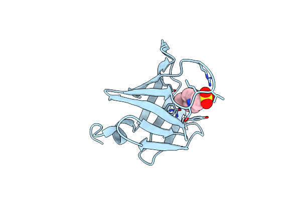 8EHD image