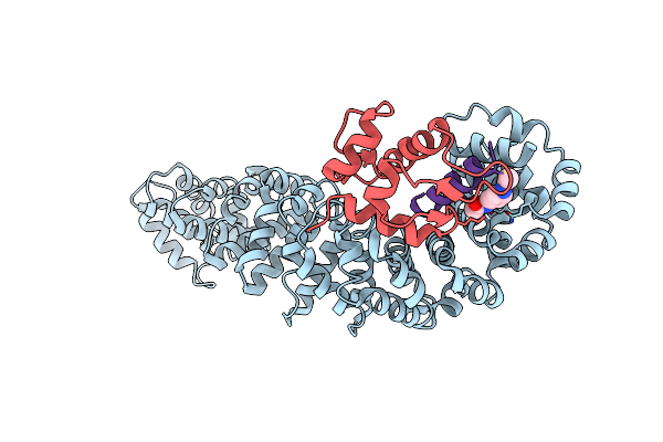 8EIB image