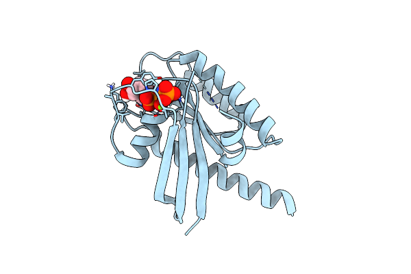 8EIE image